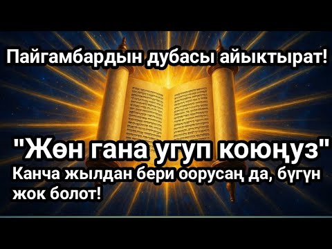 Видео: Пайгамбардын шыпаа дубасы