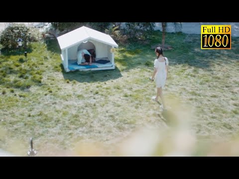 Видео: Золушка выгнала генерального директора, бедный генеральный директор провел ночь в собачьей будке