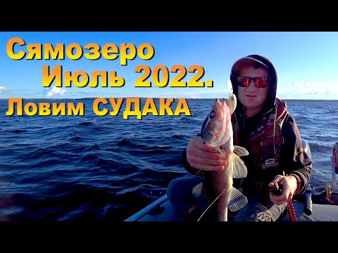 Видео: В КАРЕЛИИ с палатками//Рыбалка на СЯМОЗЕРЕ 2022//Судак с каждого заброса//#teamправильнаяподсечка