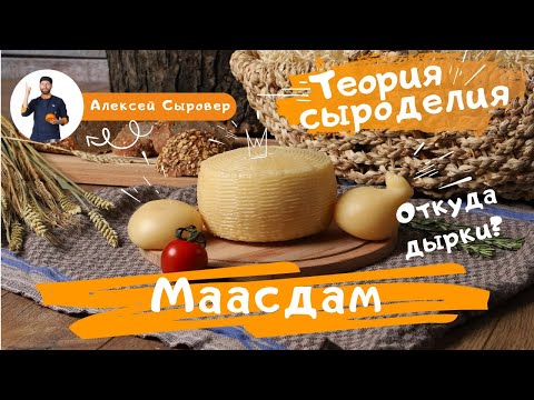 Видео: Маасдам.  Откуда дырки?