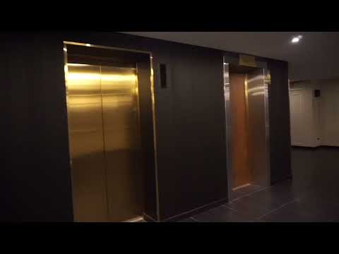 Видео: Новые и крутые Лифты Schindler 5500 (Linea Vetro) 2020 г. @ Отель Санкт-Петербург**** (г. СПб)