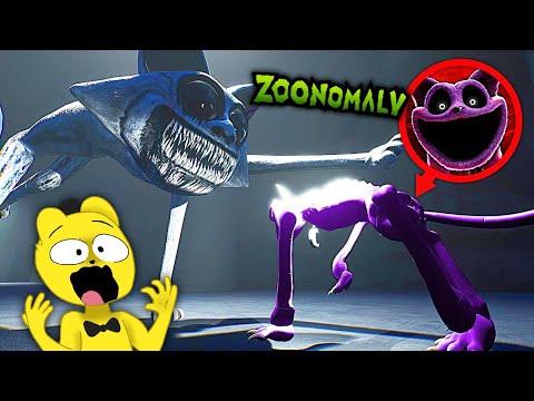 Видео: Кэтнэп в Зоопарке 🌙 Zoonomaly