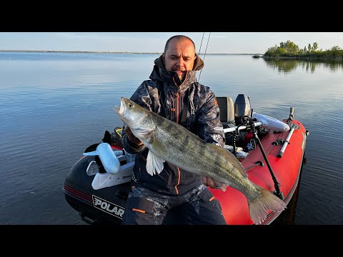 Видео: КРУЖКИ против СПИННИНГА после нереста. Ловим Судака на водохранилище.