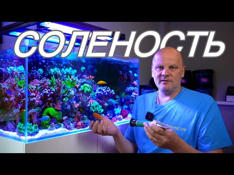 Видео: КАК ПРАВИЛЬНО ИЗМЕРЯТЬ СОЛЕНОСТЬ В МОРСКОМ АКВАРИУМЕ
