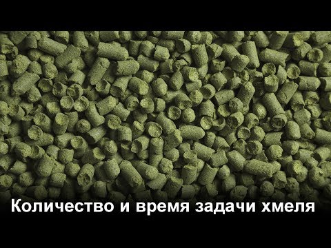 Видео: Количество и время задачи хмеля