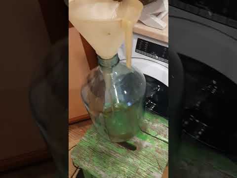 Видео: соревнование грыжевиков