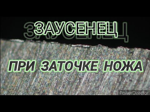 Видео: ОТВЕТЫ НА ВОПРОСЫ Ч.4 "ЗАУСЕНЕЦ ПРИ ЗАТОЧКЕ НОЖА" #DUDKINNKNIVES #заточка #нождляохоты #ножи #нож