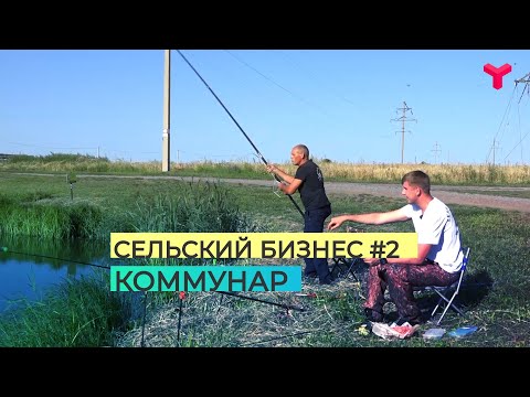 Видео: Сельский бизнес #2. Коммунар