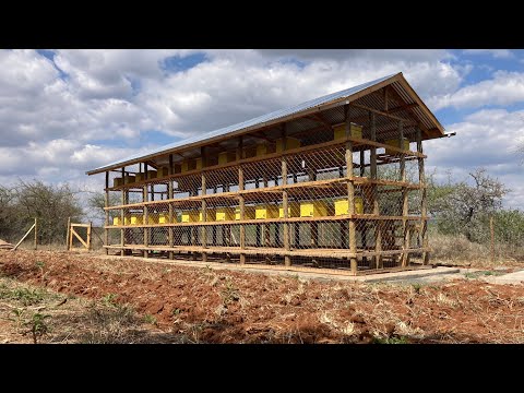 Видео: Как мы шаг за шагом построили современный улей!