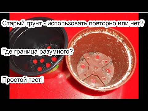 Видео: Здорова ли ваша "старая" почва? Проведите дома тест! От чего зависит пригодность почвы?