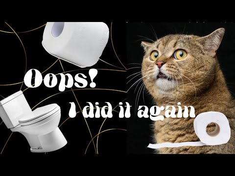 Видео: Муурны жорлонгийн асуудлыг хэрхэн шийдэх вэ?🚽🚾🧻