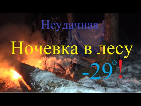 Видео: Неудачная ночёвка в лесу -29/Без потерь не обошлось.