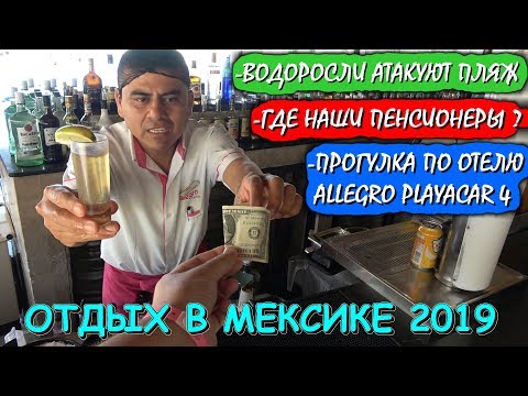 Видео: 🇲🇽МЕКСИКА🏖ОТДЫХ В ОТЕЛЕ ALLEGRO PLAYACAR 4💥ВОДОРОСЛИ НА ПЛЯЖЕ! 🏝PLAYA DEL CARMEN👉Хочу в Мексику 2022