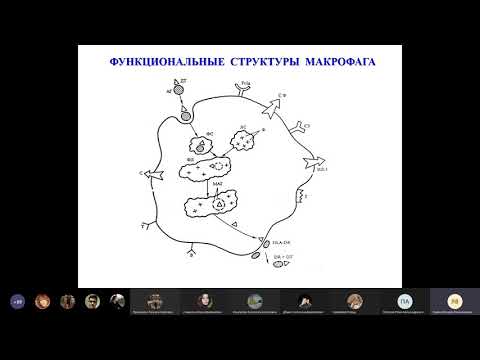 Видео: Иммунитет часть 2 | Микробиология