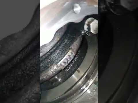 Видео: почему гудит мост