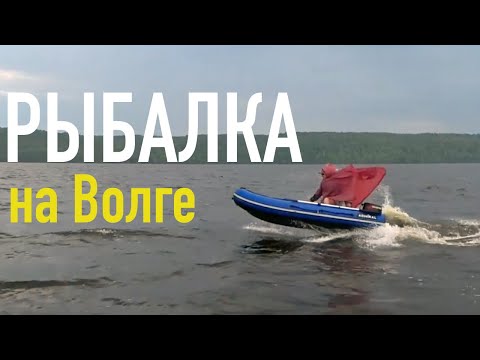 Видео: РЫБАЛКА В КАЙФ на Волге  Васильсурск, Фокино