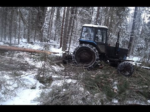 Видео: МТЗ-82 на трелёвке., Супер лес в делянке.