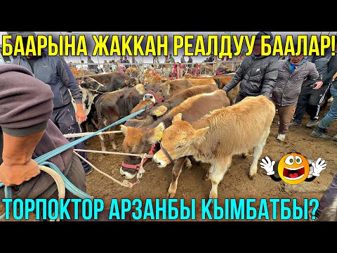 Видео: БАЗАР КАЙНАДЫ САТЫЛГАН КӨП БОЛДУБУ Ю? 🤯 #байтв