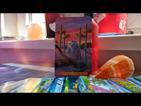 Видео: Вълнува ли се, когато мисли за вас и какво следва?🥰❤️🌟