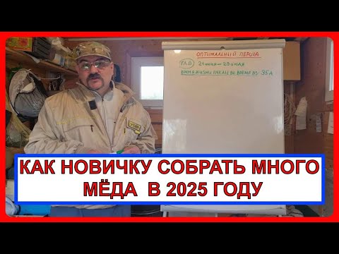 Видео: 🔥 Вы хотите собрать много мёда? - Тогда это видео для Вас! Пчеловодство для начинающих 2025🔥
