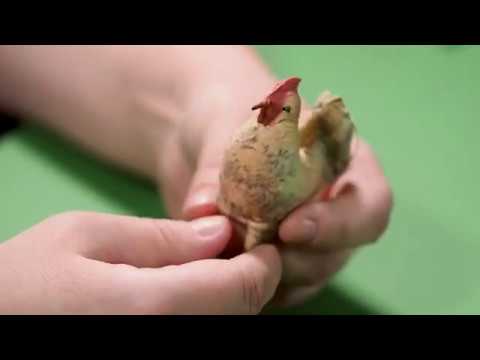 Видео: Как устроены старые ватные игрушки