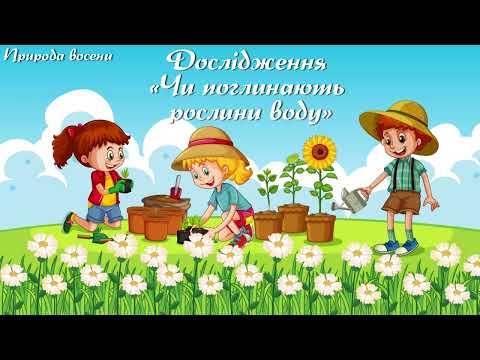 Видео: "Юні дослідники"