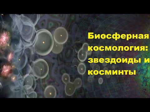 Видео: Биосферная космология: "звездоиды" и "косминты"