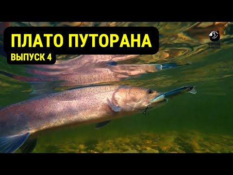 Видео: Плато Путорана // Выпуск 4