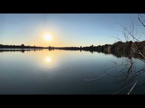 Видео: На що ловим толстолоба.Поганий сезон 2025 року .