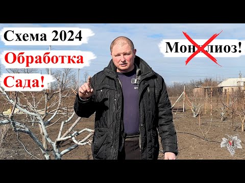 Видео: Схема ОБРАБОТКИ САДА! Защита ДЕРЕВЬЕВ от МОНИЛИОЗА! СЕЗОН 2024