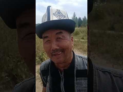 Видео: 16 августа 2025 г.