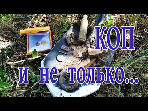 Видео: Коп и не только...