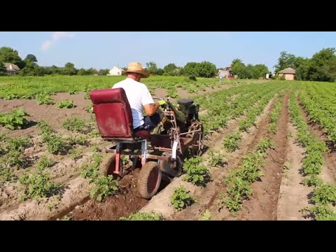 Видео: Окучивание картофеля мотоблоком. Как и когда правильно окучивать картофель.