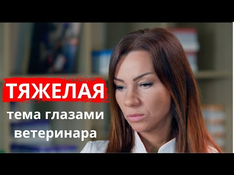 Видео: Когда пора усыплять животное?