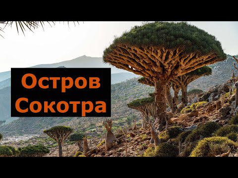 Видео: Остров Сокотра, честный обзор