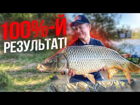 Видео: БОЛЬШОЙ КАРП НА ФИДЕР!  Рыбалка осенью на флэт.