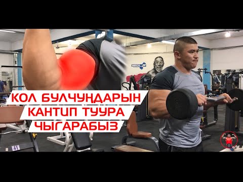 Видео: Кантип кол булчуңдарын туура чыгарабыз - Келдибек Атайбеков