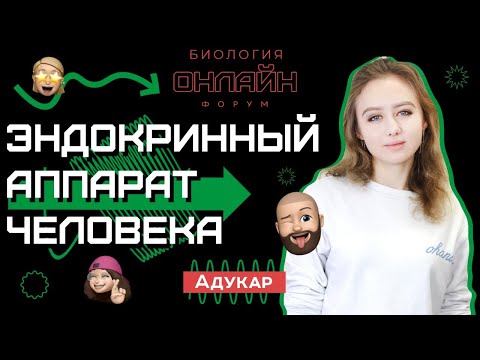 Видео: Эндокринный аппарат человека | Биология