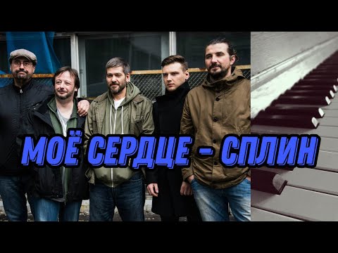 Видео: Моё сердце - Сплин. Piano cover