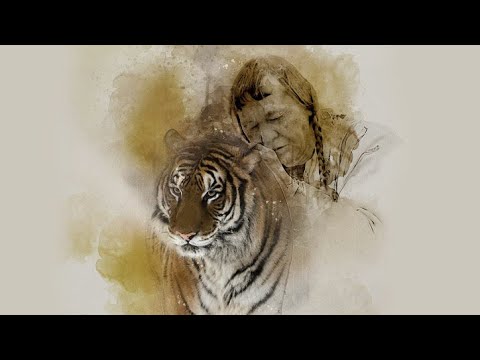 Видео: Тигры и люди. Фильм-расследование.
