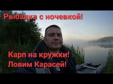 Видео: Рыбалка с ночевой! Кружки на Карпа! Ловим Карасей!