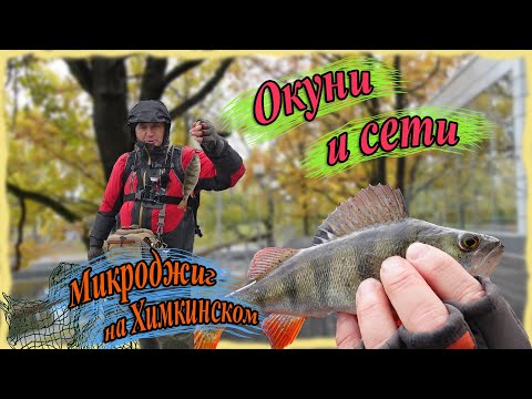 Видео: Окуни и сети. Микроджиг на Химкинском.