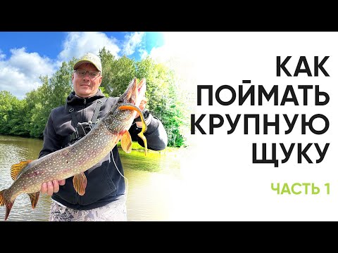Видео: Как поймать крупную щуку на Чебоксарке. Рыбалка в начале лета. Часть 1