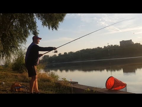 Видео: АКВАТОРИЯ - рыбалка на Москва реке, Братеево, "Братеевская Пойма", Крупный лещ