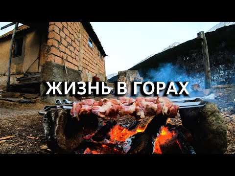 Видео: Уехали жить в ДИКИЕ горы Кавказа в маленьком домике у чабана