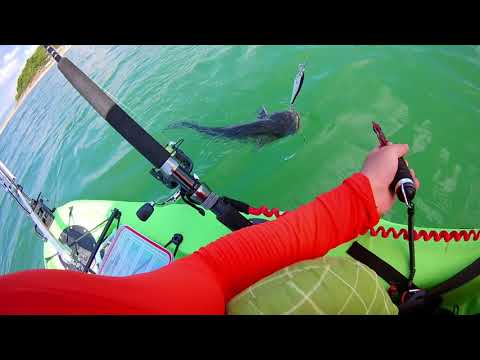 Видео: Тролинг на сом с каяк - Kayak trolling catfish