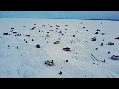 Видео: ОГРОМНАЯ ТОЛПА ГОНЯЕТ СУДАКА на Обском водохранилище! Зимняя рыбалка на судака с эхолотом Калипсо.