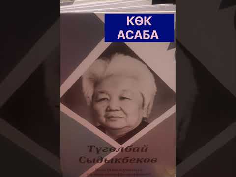 Видео: Т.СЫДЫКБЕКОВдун "КӨК АСАБА" романы, (2-бөлүмдүн 2- чыгарылышы)