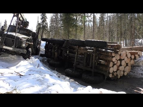 Видео: Всё-таки ПОЛОЖИЛИ Урал лесовоз...