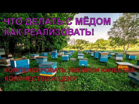 Видео: Крупная пасека 100 ульёв цена мёда ЧТО ДЕЛАТЬ С МЁДОМ как реализовать ✅🍯☝️